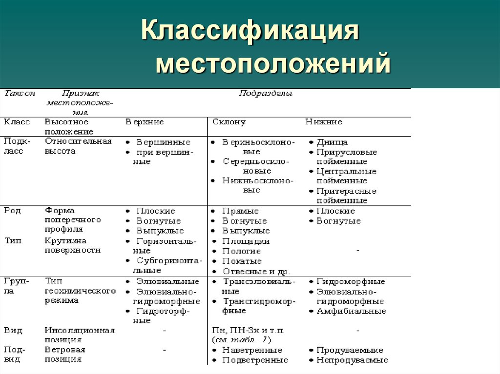 Виды подов. Классификация и расположения. Классификация по расположению. Классификация кафе по местонахождению. Классификация ресторанов по месту расположения.