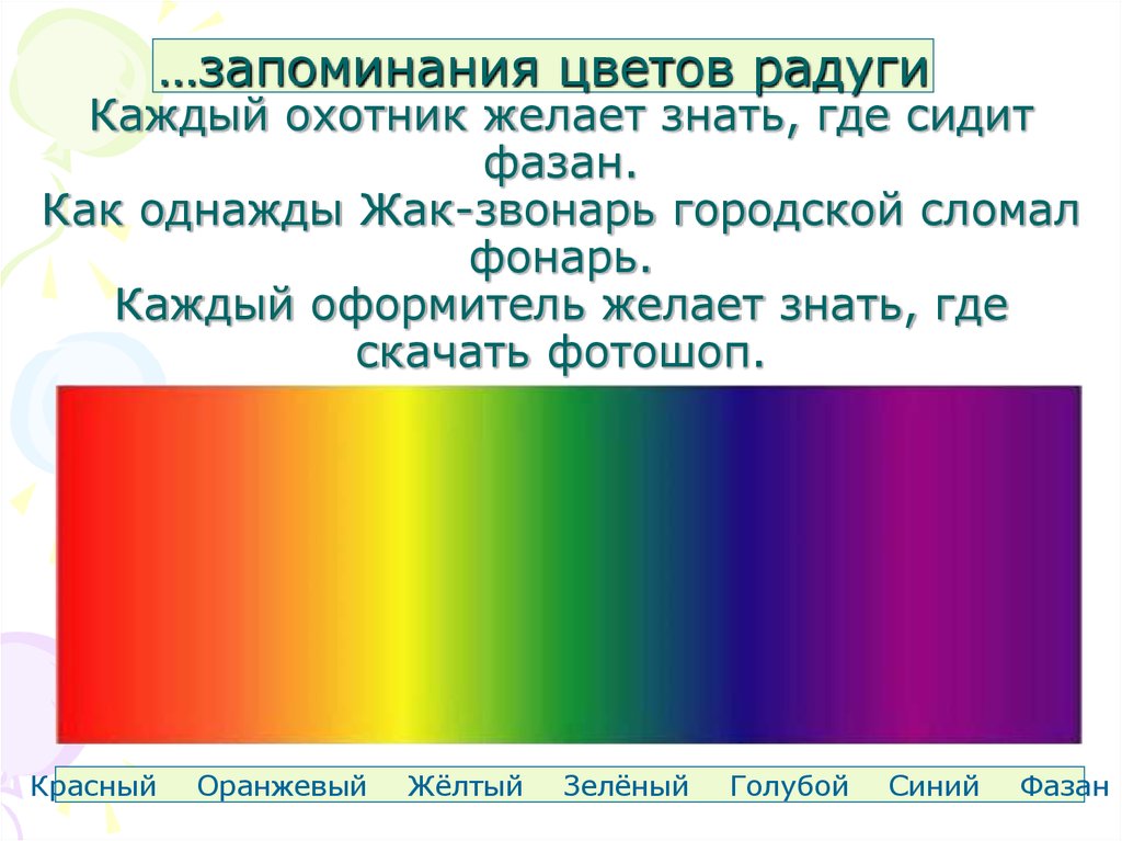 Каждый знает где сидит фазан. Охотник фазан Радуга. Цвета радуги каждый охотник желает знать. Каждый охотник желает знать. Цвета радуги каждый охотник желает знать где сидит фазан цвета радуги.