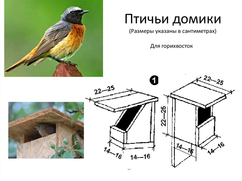 Синичник размеры и чертежи