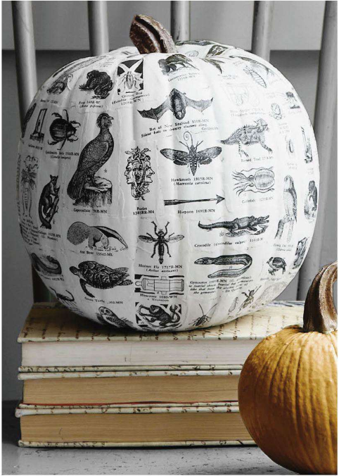 textbook-decoupage-pumpkin (482x676, 455Kb)