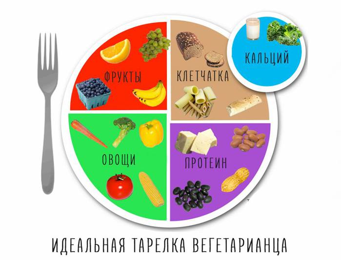 Правило тарелки картинки