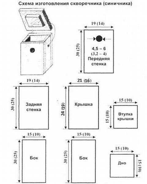 Размер синичника чертеж размеры
