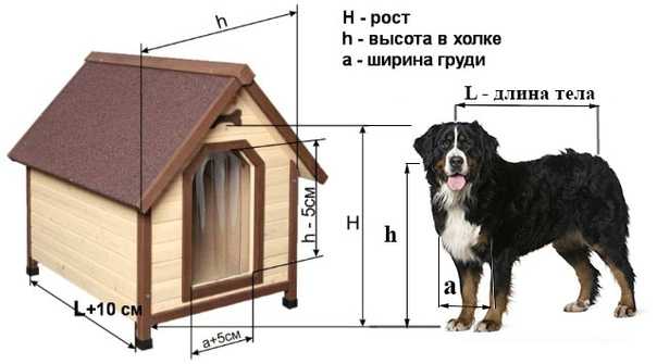 Будка для восточно европейской овчарки размеры чертежи фото