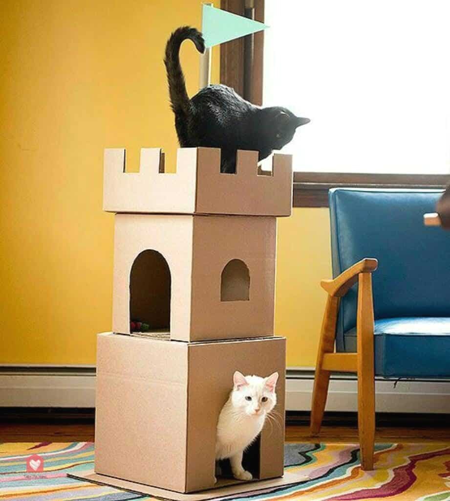 дом для кота своими руками