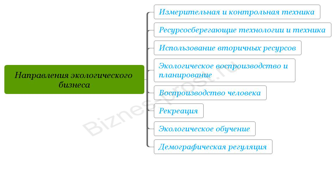 Направления экологического бизнеса