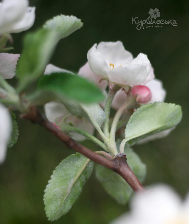 Яблоневый цвет из холодного фарфора. Фото., фото № 7
