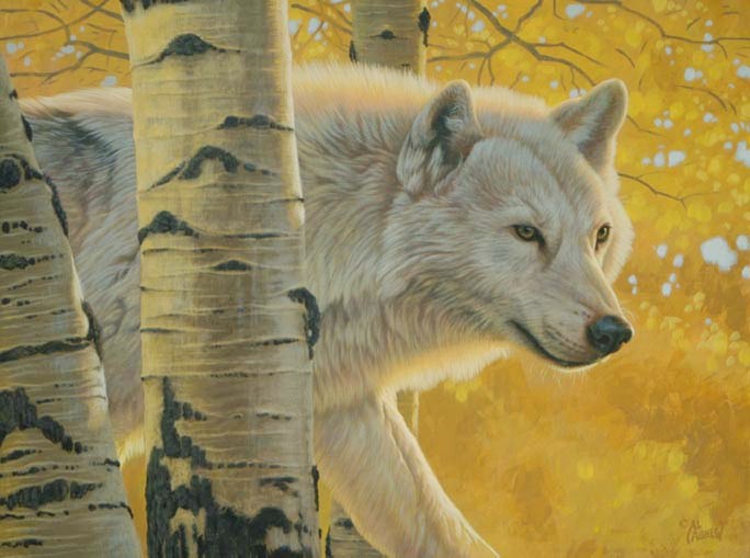 Эл Агнью: вдохновляющие картины волков, фото № 1