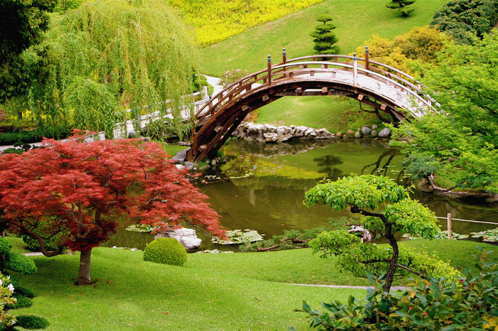 Микромиры: японские сады камней, фото № 10