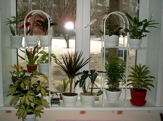 Создаем уют с помощью композиций из цветов, фото № 43