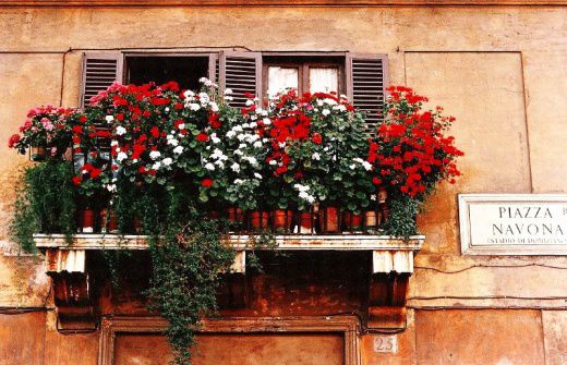 Итальянские балконы - все в цветах, фото № 1