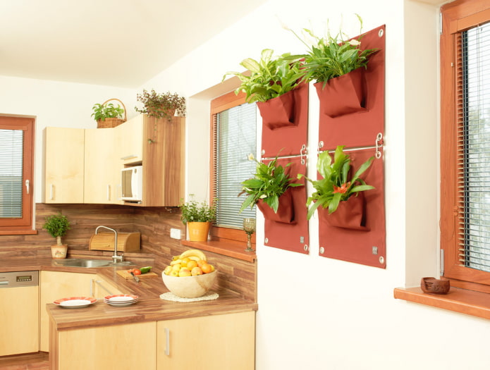 растения на стене в интерьере кухни
