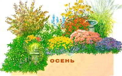 Сочные краски осенней клумбы