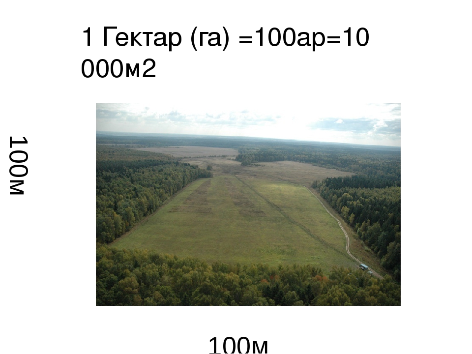 Сколько соток в квадратном метре. 1 Гектар. 1 Гектар это 100 ар. Гектар земли в метрах. Площадь гектара.