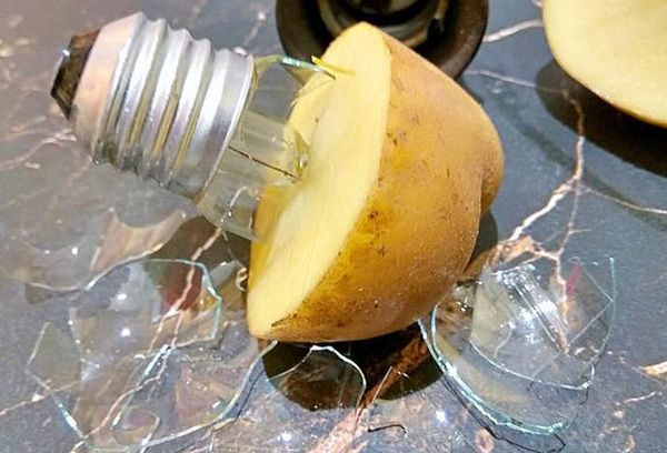 Картофель для выкручивания сломанной лампочки 
