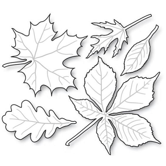 Осенние листья: шаблоны для вырезания