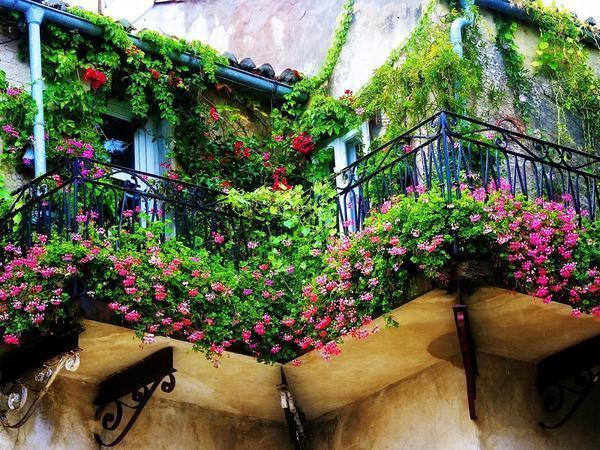 На балконе, где расположены цветы, всегда приятно находится благодаря атмосфере, которую они создают 