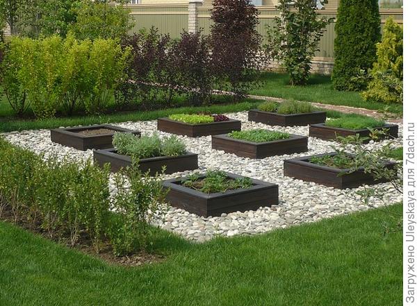 Декоративный огород, фото сайта landscape-project.com