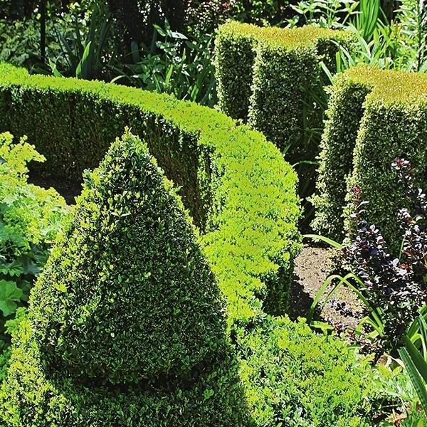 Элементы с такими очертаниями в саду всегда выглядят эффектно и гармонично.