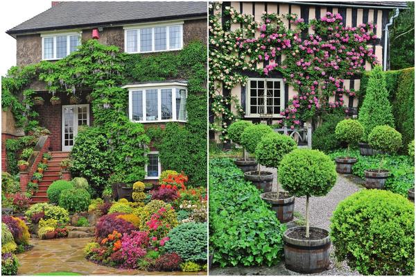 Слева: Увитое зеленью крыльцо послужит переходным элементом между домом и садом. Справа: Плетистые розы, опутавшие фасад, не только маскируют постройку, но и соединяют ее с садовым пространством.