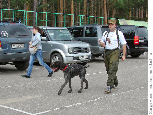 Если в семье есть охотник.