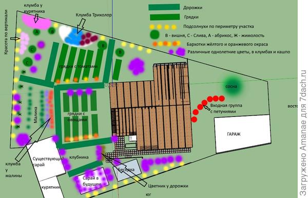 Общий план участка с цветниками, грядками, клумбами и деревьями