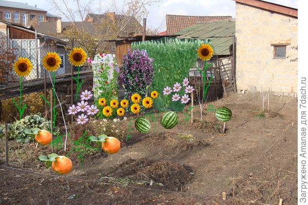 Красота по вертикали, без клумбы у курятника