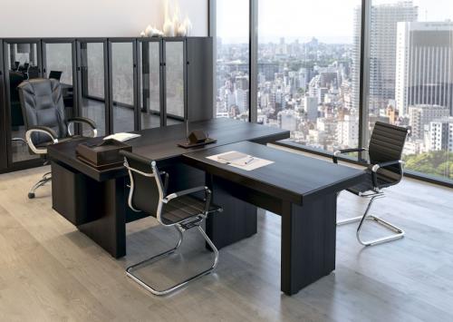 Дизайн маленького кабинета руководителя. Мебель для руководителя – лучшие идеи подбора красивой и функциональной мебели (видео + 100 фото)