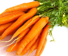 морковь под зиму