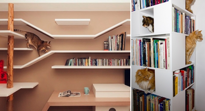 Книжные полки для кошек