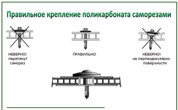 Фиксация листа саморезами.