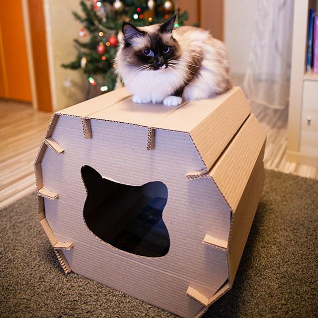 Домик для кошки своими руками из коробки. Кошачий домик. Домик для кошки из коробки. Домик для кошки из коробок. Картонные домики для котов.