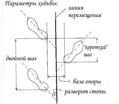 Базовые варианты передвижения человека.