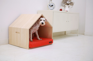 Уютный домик для небольшой собаки.