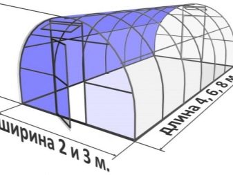 Размеры теплиц из поликарбоната: критерии выбора