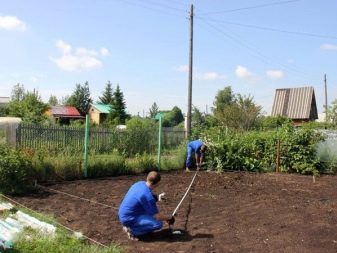 Размеры теплиц из поликарбоната: критерии выбора