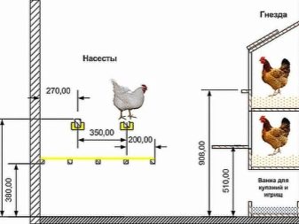 Особенности строительства зимнего курятника на 10 кур