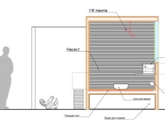 Особенности строительства зимнего курятника на 10 кур