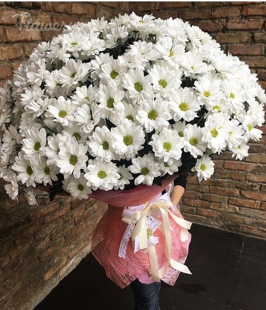 Букет белых хризантем с днем рождения для женщины картинки красивые