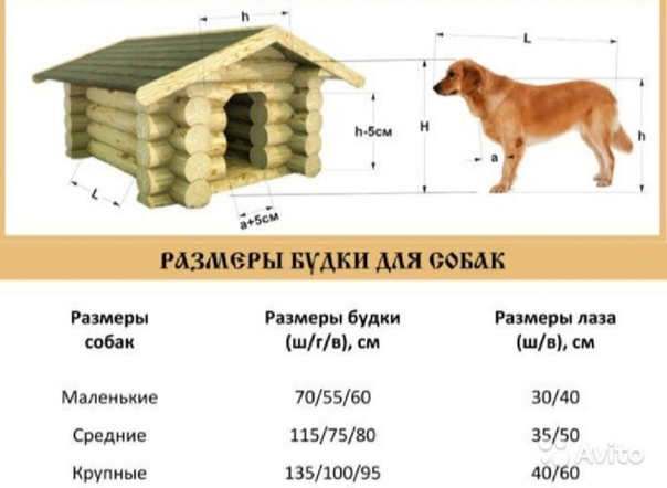 Конура для собаки своими руками чертежи и размеры для овчарки