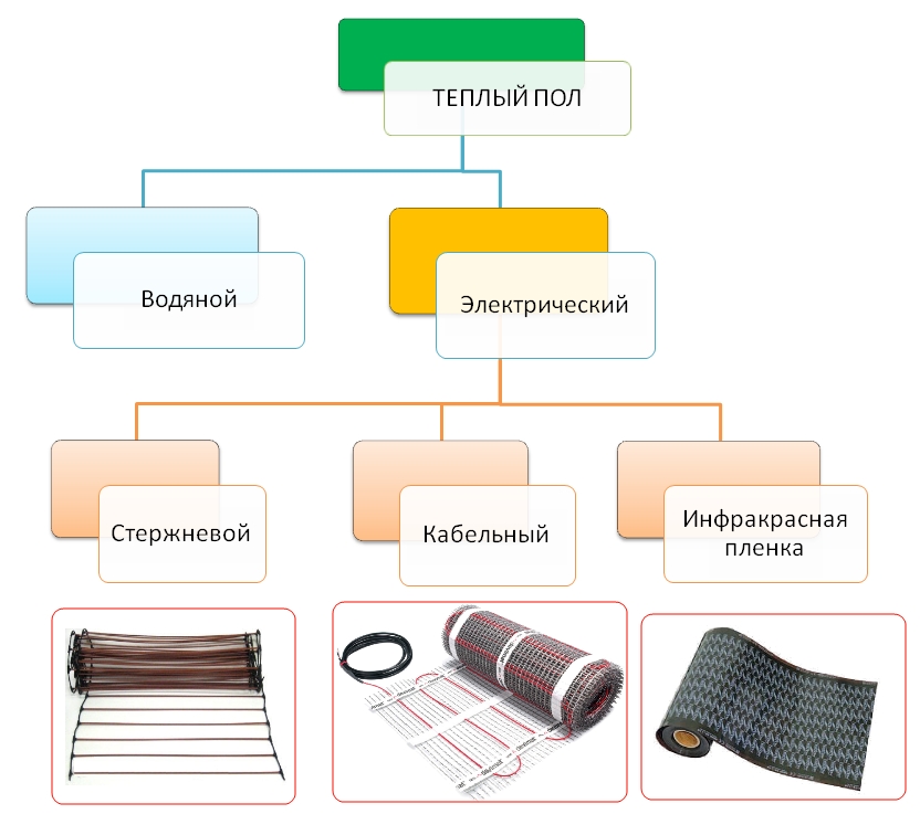 виды полов