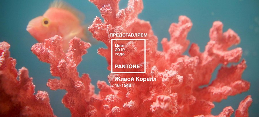 Pantone написал о том, где можно с успехом использовать этот «жизнеутверждающий цвет»