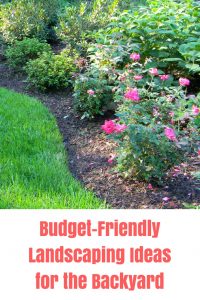 5 Budget Backyard Landscaping Ideas