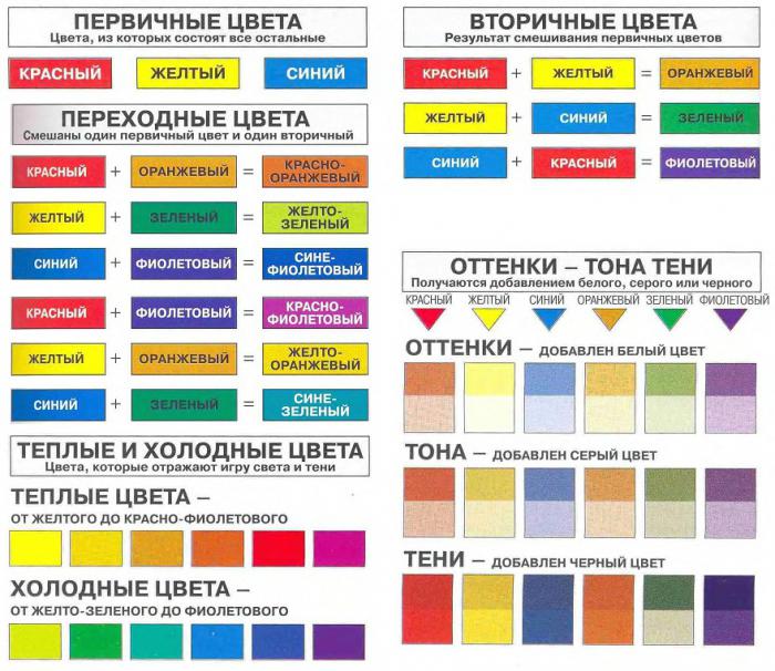 какие цвета теплые а какие холодные