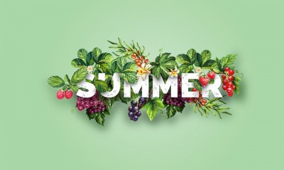 ягоды кусты summer надпись минимализм