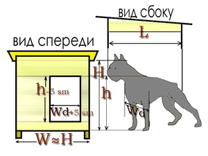 Как построить будку