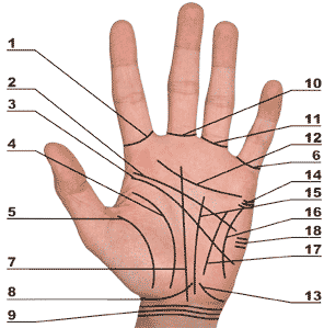 хиромантия линия брака видео